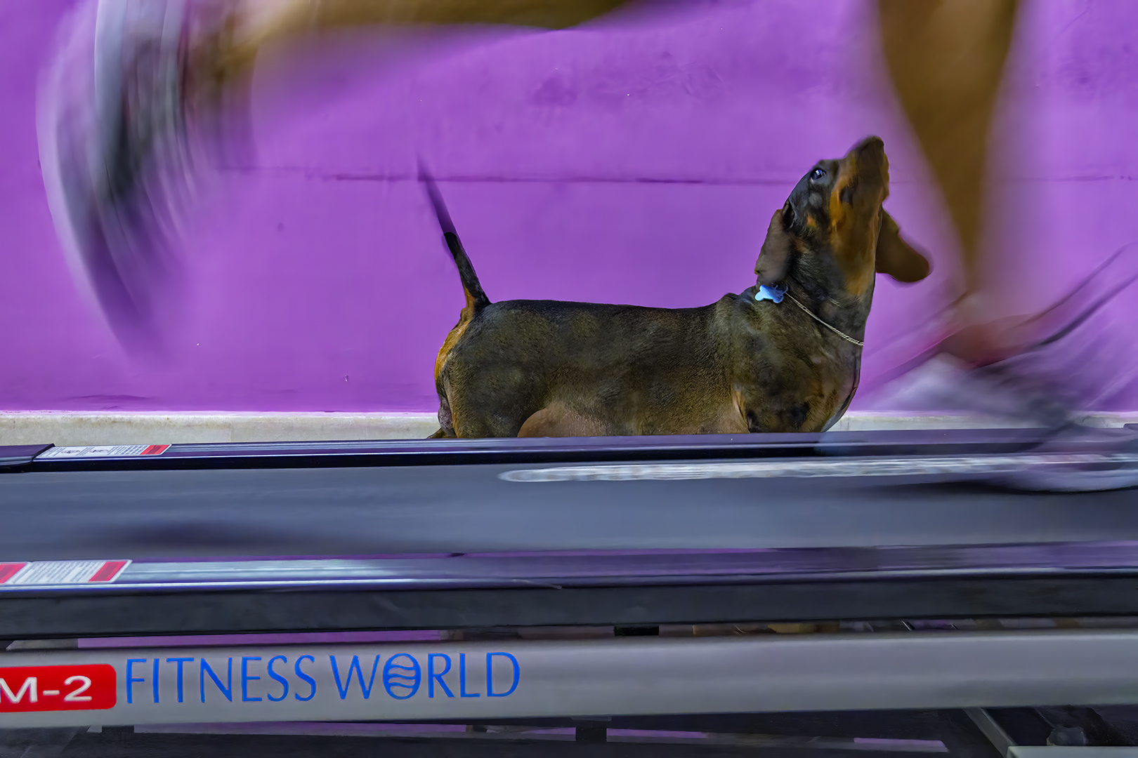 296 | Hyderabad 2012